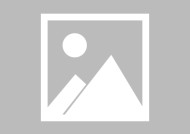 宇树科技启动上市辅导，具身智能争抢IPO