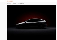 特斯拉官宣Model Y L秋季上市，大六座、加长版
